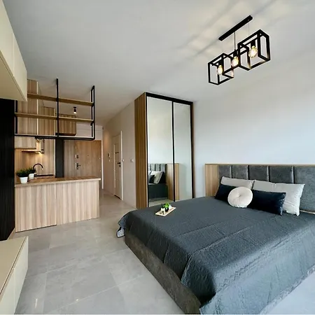 Kostecki Exclusive Studio, Klimatyzacja, Garage, Widok Na Katowice, Spodek, Centrum