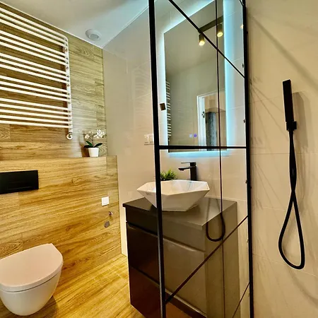 Kostecki Exclusive Studio, Klimatyzacja, Garage, Widok Na Katowice, Spodek, Centrum 公寓 *