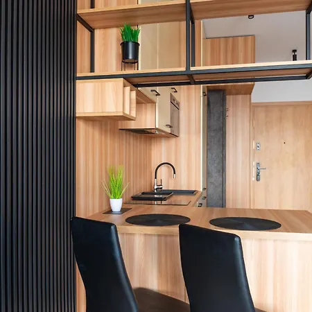 Kostecki Exclusive Studio, Klimatyzacja, Garage, Widok Na Katowice, Spodek, Centrum *