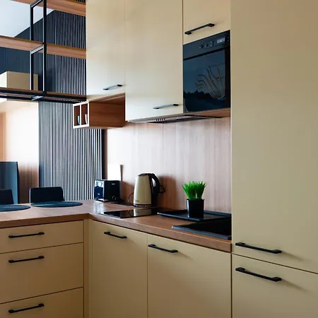 Kostecki Exclusive Studio, Klimatyzacja, Garage, Widok Na Katowice, Spodek, Centrum * Κατοβίτσε