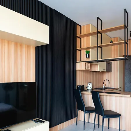 Kostecki Exclusive Studio, Klimatyzacja, Garage, Widok Na Katowice, Spodek, Centrum *