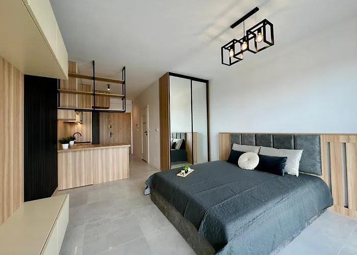 Kostecki Exclusive Studio, Klimatyzacja, Garage, Widok Na Katowice, Spodek, Centrum