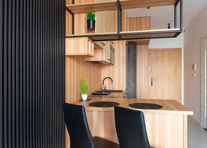 Kostecki Exclusive Studio, Klimatyzacja, Garage, Widok Na Katowice, Spodek, Centrum *