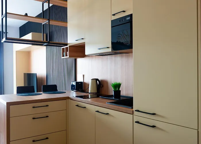 Kostecki Exclusive Studio, Klimatyzacja, Garage, Widok Na Katowice, Spodek, Centrum * Κατοβίτσε