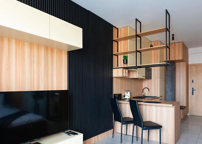 Kostecki Exclusive Studio, Klimatyzacja, Garage, Widok Na Katowice, Spodek, Centrum *